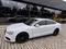 Audi A5 2.0 TDI 140kW QUATTRO S-LINE!!