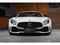 Prodm Mercedes-Benz GT R Roadster, 1 of 750, Carbo