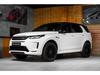 Land Rover Discovery SPORT P250 E-Dynamic S AWD, Me