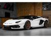 Lamborghini BR SVJ Roadster, FULL CARBON,