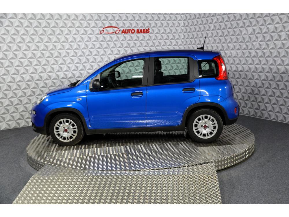 Fiat Panda Panda 1.0 BSG 70k E6.4