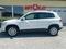 Volkswagen Tiguan 2.0 TDI 103kW/4Motion/DSG/1maj