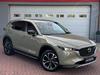 Mazda CX-5 Newground 2.0 G165