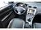 Ford Focus 1.6 16V, po STK, Tan