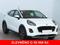 Ford Puma 1.0 EcoBoost, NOV CENA