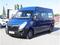 Opel Movano 2.3 CDTI, Bus, 8Mst, Klima