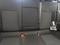 Prodm Opel Insignia 1.6 CDTI, Serv.kniha