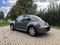 Fotografie vozidla Volkswagen New Beetle 1.4  55kw pravideln servis