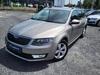 Prodm koda Octavia 2.0TDI 4X4 JOY XENON NAVI 1Maj