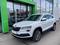 Prodm koda Karoq 2.0 TDI 140 kW 4x4 DSG / Style