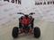 Jin  JJM ATV PANTHER 110 ERVEN