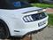 Prodm Ford Mustang 2019 GT 5.0 485 aut. 10 rychl.