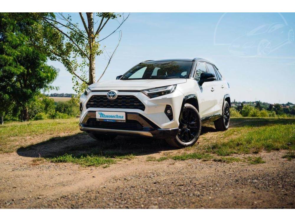 Toyota RAV4 2.5 Hybrid, Selection