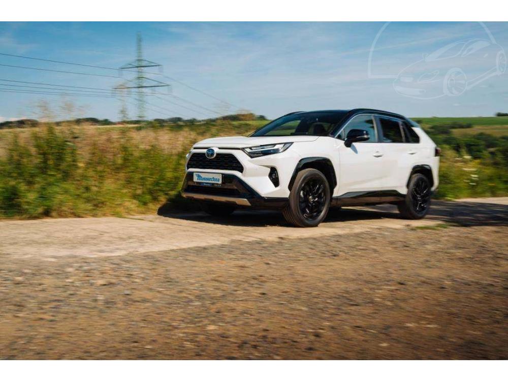 Toyota RAV4 2.5 Hybrid, Selection