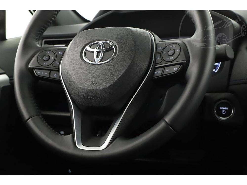 Toyota RAV4 2.5 Hybrid, Selection