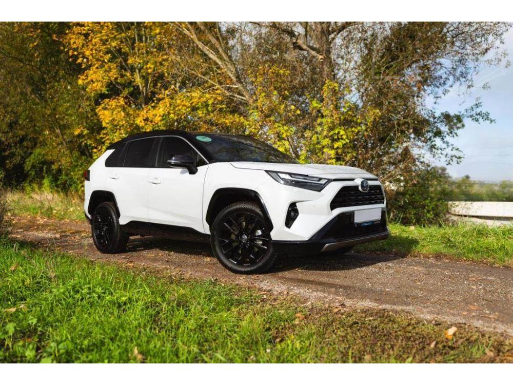 Toyota RAV4 2.5 Hybrid, Selection