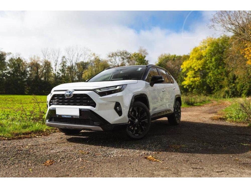 Toyota RAV4 2.5 Hybrid, Selection