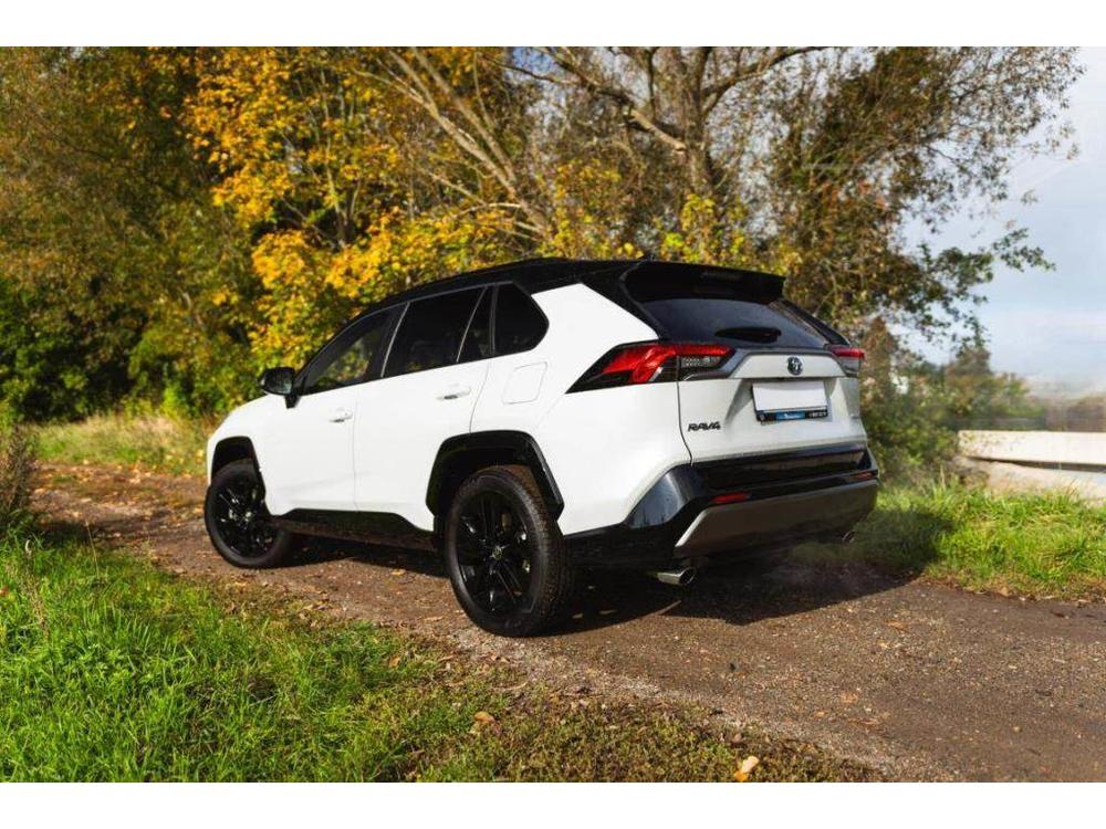 Toyota RAV4 2.5 Hybrid, Selection