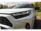 Toyota RAV4 2.5 Hybrid, Selection