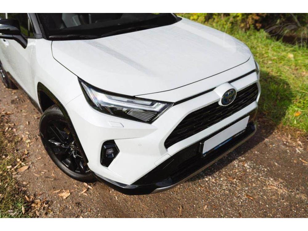 Toyota RAV4 2.5 Hybrid, Selection