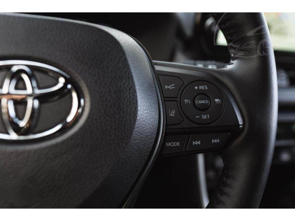 Toyota RAV4 2.5 Hybrid, Selection