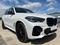 BMW X5 BR PANO TAN LED MPAKET DPH