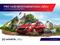 Prodm Ford Galaxy 2.0 TDCi  ZIMN + LETN PNEU