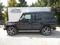 Mercedes-Benz G G 350 D AMG NEZ. TOP. KAMERA