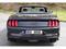 Ford Mustang 5.0GT 343kW BLACK-EDITION !!