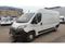 Prodm Opel Movano 1 maj.R,