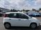 Fiat Panda 1,0 FIREFLY,1majR.serv.kn.