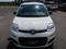 Fiat Panda 1,0 FIREFLY,1majR.serv.kn.