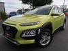 Hyundai Kona 1,0 T-GDI,88kW,Style,1majČR